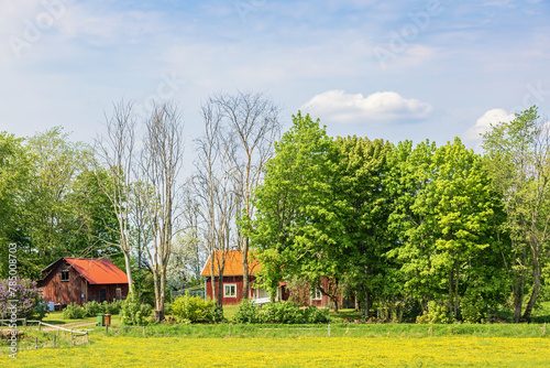 Red cottage in the countryside on a sunny summer day