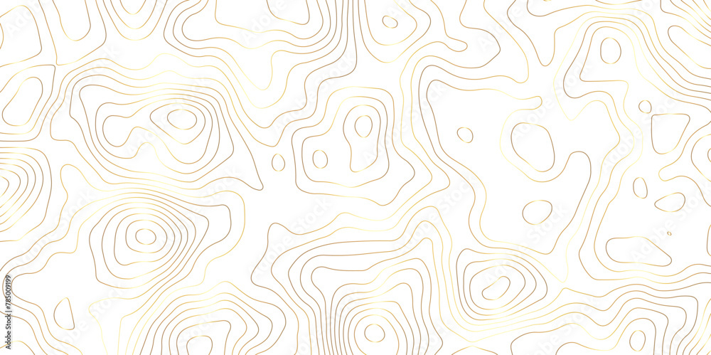 Golden strokes topology map contour topography texture vector
