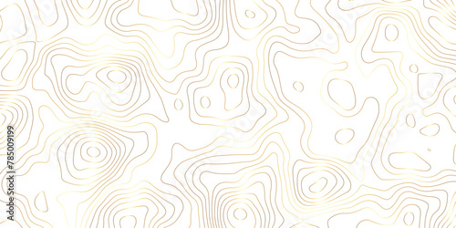 Golden strokes topology map contour topography texture vector