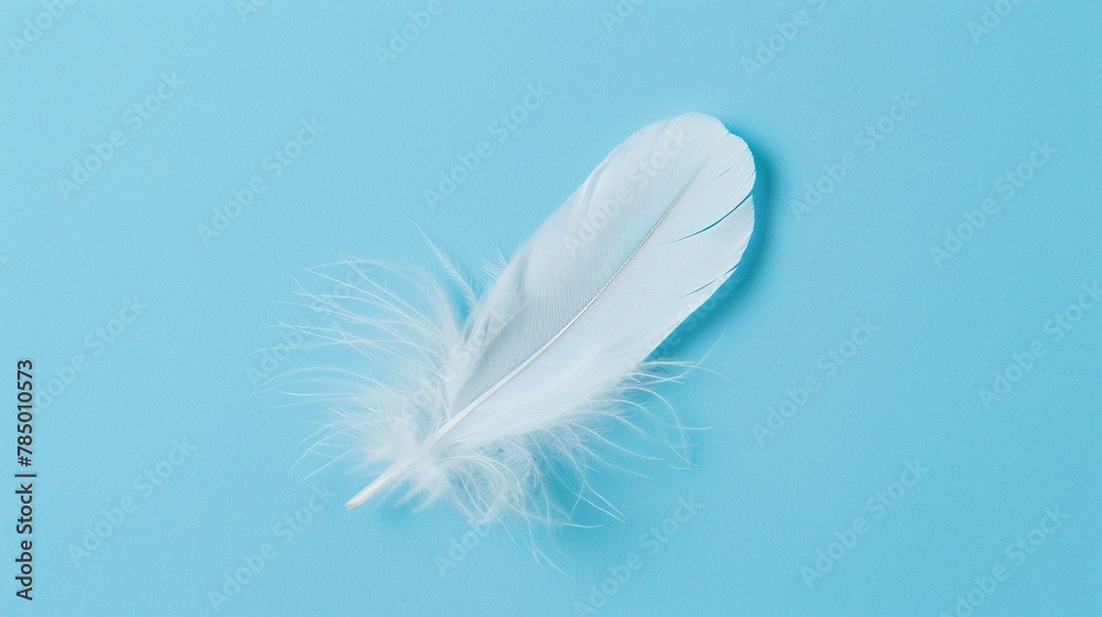 Fototapeta premium White Feather