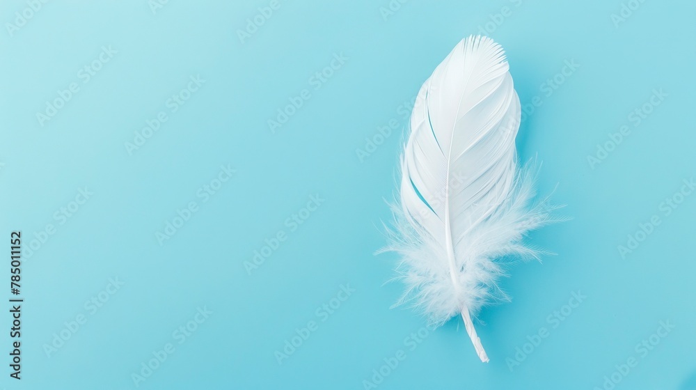 White Feather White Feather