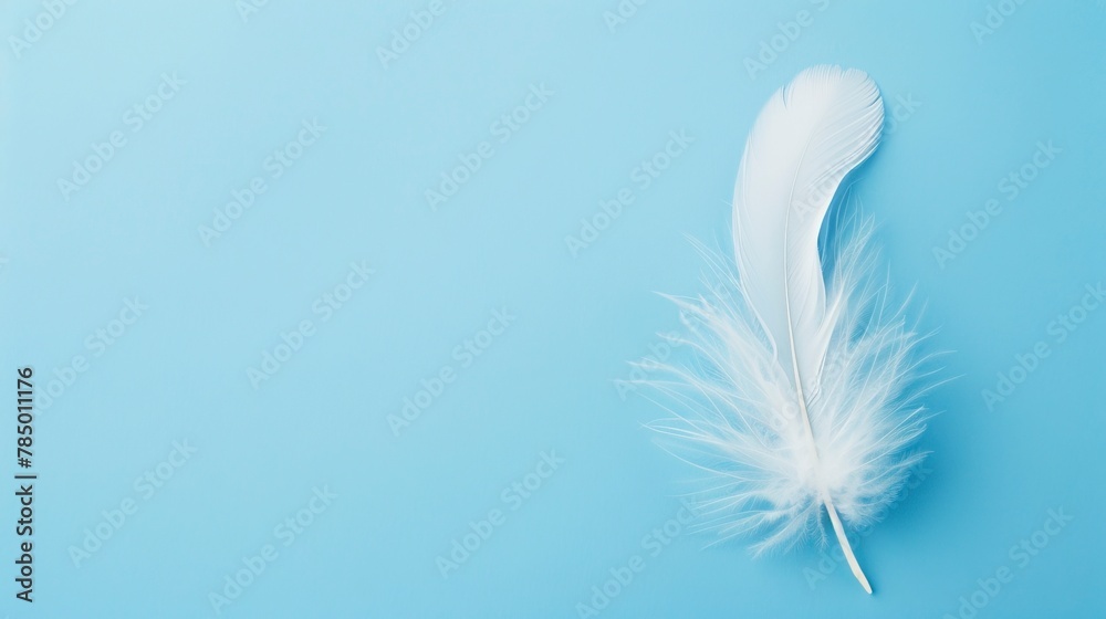Obraz premium White Feather