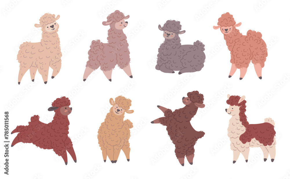 Obraz premium Set of colorful cute llamas in different poses, vector isolated cute funny curly fur Lama animal, cheerful sheep