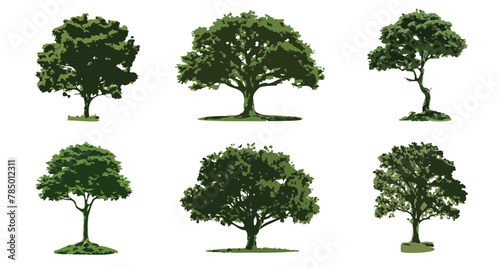 set of trees isolated a set of silhouettes of trees. Branches  leaves  nature  eco-friendly environment
