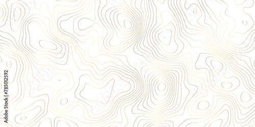 Golden strokes topology map contour topography texture vector