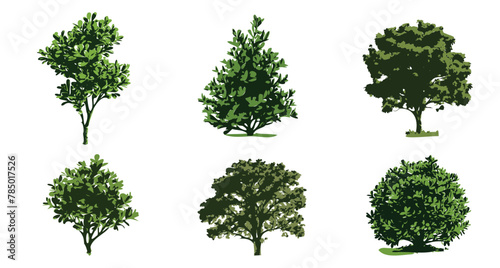 a set of silhouettes of trees. Branches, leaves, nature, eco-friendly environment