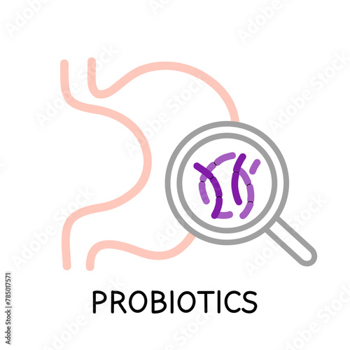 Stomach and Probiotics. Different colorful microbiome and microbiota. Bifidobacterium and lactobacillus, supplement ad elements. Gastrointestinal health vector cartoon flat isolated illustration
