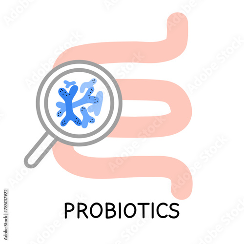 Intestines and Probiotics. Different colorful microbiome and microbiota. Bifidobacterium and lactobacillus, supplement isolated elements. Gastrointestinal health vector cartoon flat illustration