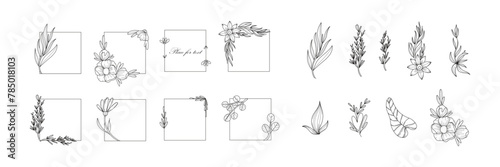 Botanical frame. Line border, leaves and flowers, wedding invitation and cards, logo design and posters template. Elegant minimal style floral summer decor. Vector isolated hand drawn minimal set