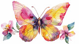 Butterfly flowers watercolor pink yellow white background