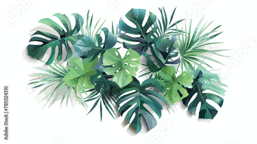 Card template with tropical plants monstera shadow