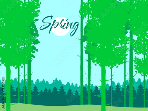 Spring forest landscape, green foliage, April, May month © hadeev