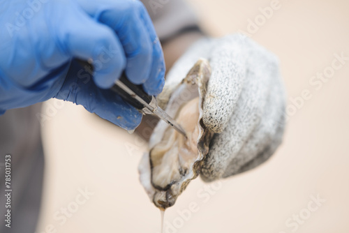 Fresh oyster opened with an oyster knife. Close-up of the process of shucking oysters in the restaurant, focus on a man's hands. photo