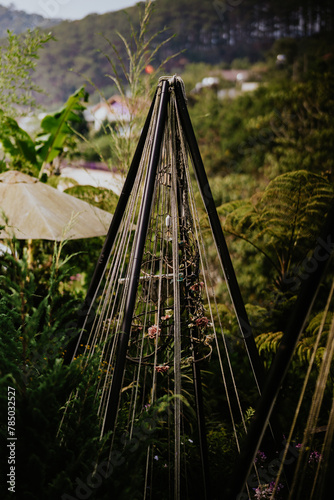 nature  Da Lat  Bali Hills  Vietnam  DaLat Lam Dong