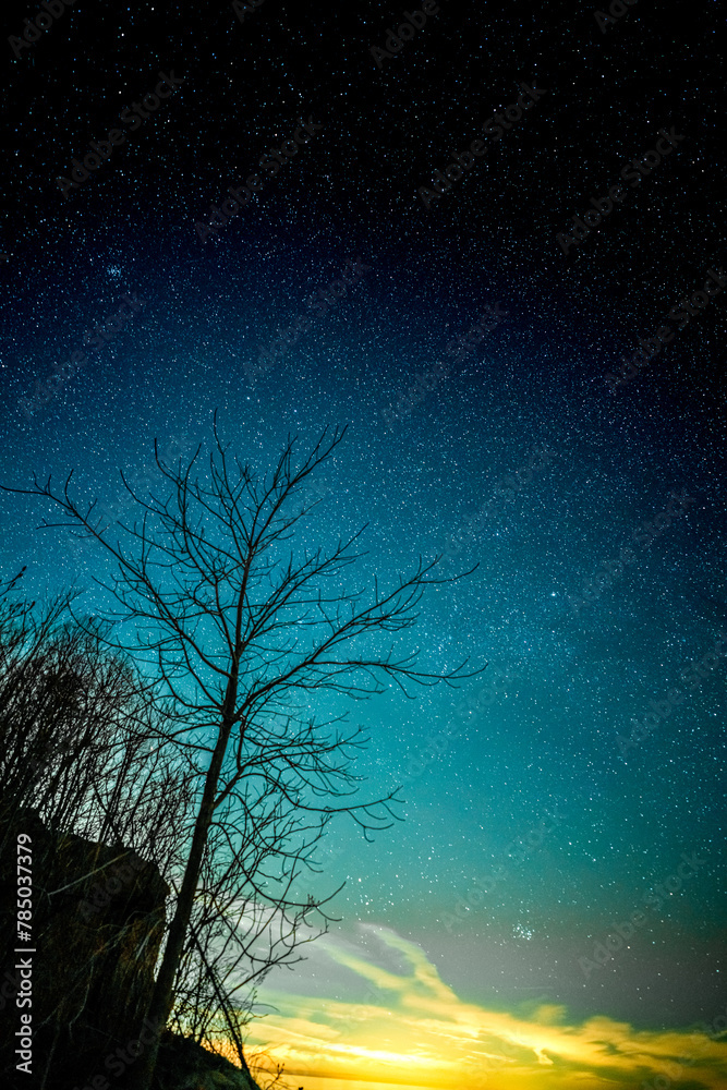 The View of Starry Night Over The Woods and Lighthouse in Lake Ontario The View of Starry Night Over The Woods and Lighthouse in Lake Ontario