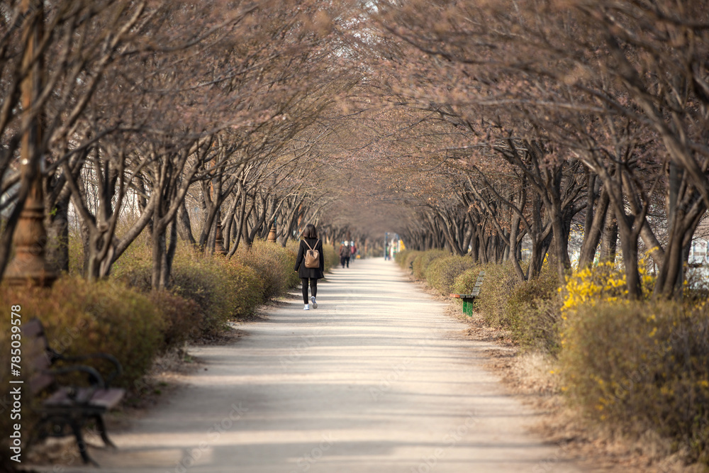 View of the footpath with the walking people in the park