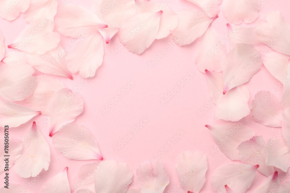 Frame of beautiful spring blossoms petals on pink background, flat lay. Space for text