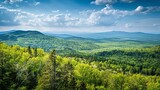 A scenic overlook with views of a sprawling forest, appreciating Earth Day
