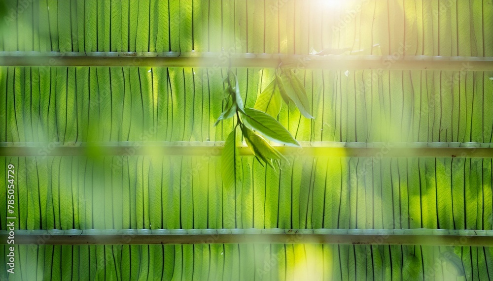 photorealistic,background, full colour maple small leaves