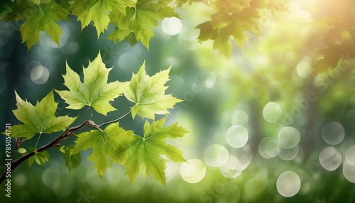 Obraz na płótnie photorealistic,background, full colour maple small leaves w salonie