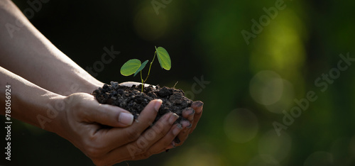 Close up on hands holding seedling for planting. Green world earth day Care of the Environment Ecology concept,Banner for text