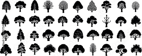 Tree silhouettes, vector collection, black isolated icons on white background. Diverse shapes, nature elements, perfect for eco friendly design, forest landscape illustrations