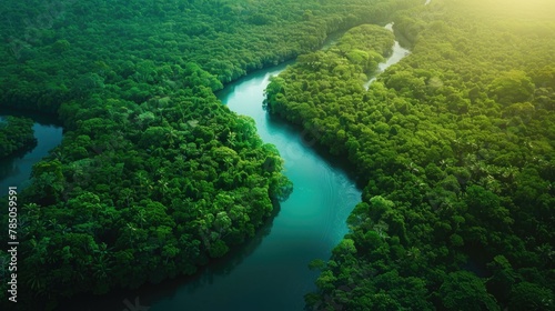 Aerial View of Serpentine River through Lush Rainforest