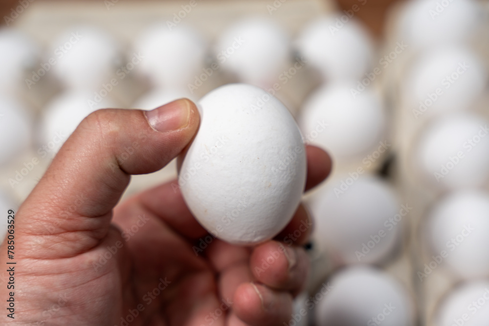 A man's hand holds a chicken egg against the background of packages of chicken eggs. Chicken egg close-up. A man's hand holds a chicken egg against the background of packages of chicken eggs. Chicken egg close-up.