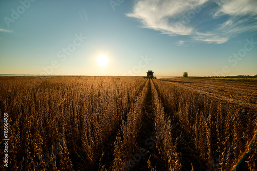 Tractor harvesting soybean crops in field at sunset photo