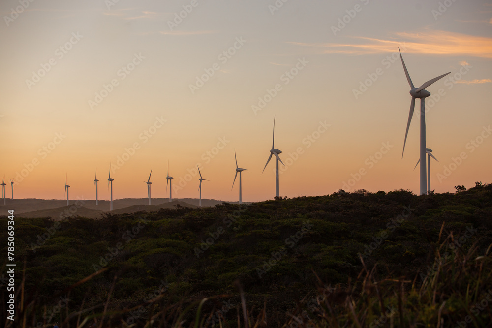 Obraz premium A row of wind turbines at sunset. Albany Wind Farm, Western Australia. 