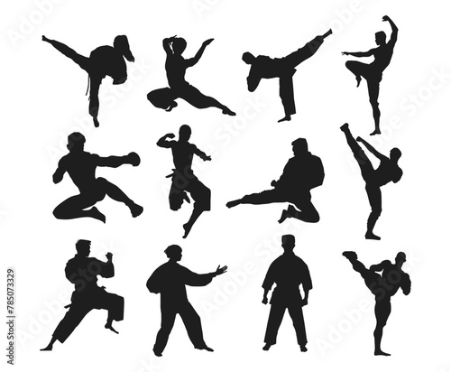 set of martial art silhouette, fighter, combat, fight pose. Vector illustration