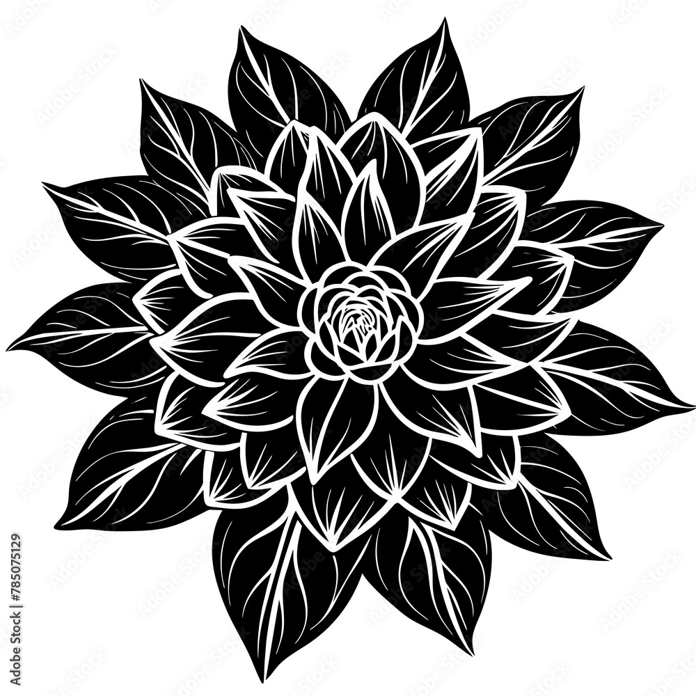    Flower vector illustration.

