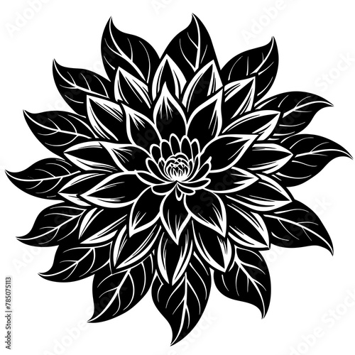  Flower vector illustration. 