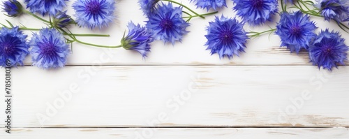 Beautiful indigo cornflower flowers on a white wooden background  in a top view with copy space for text