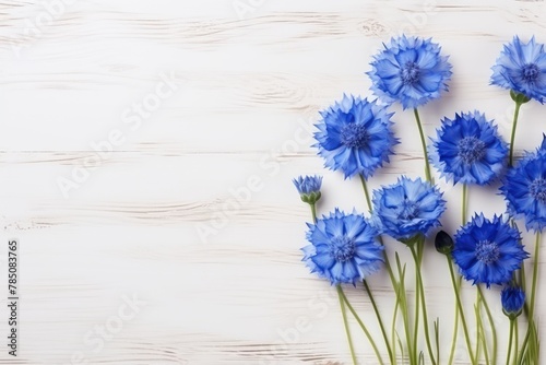 Beautiful navy blue cornflower flowers on a white wooden background, in a top view with copy space for text