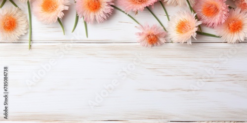 Beautiful peach cornflower flowers on a white wooden background, in a top view with copy space for text