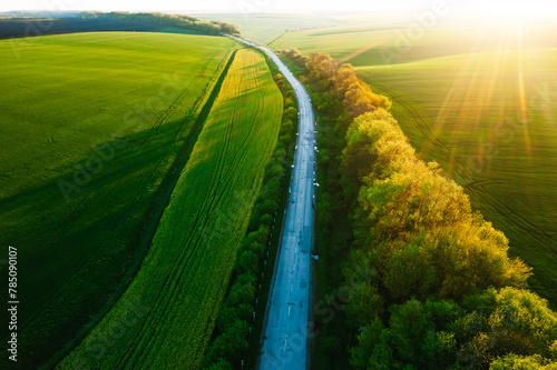 Bird's eye view of a morning country road passing through farmland and cultivated fields.