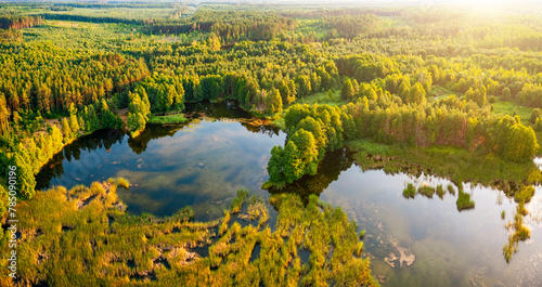 Drone view of a quiet lake surrounded by a coniferous forest. Small Polissya, Ukraine, Europe. photo