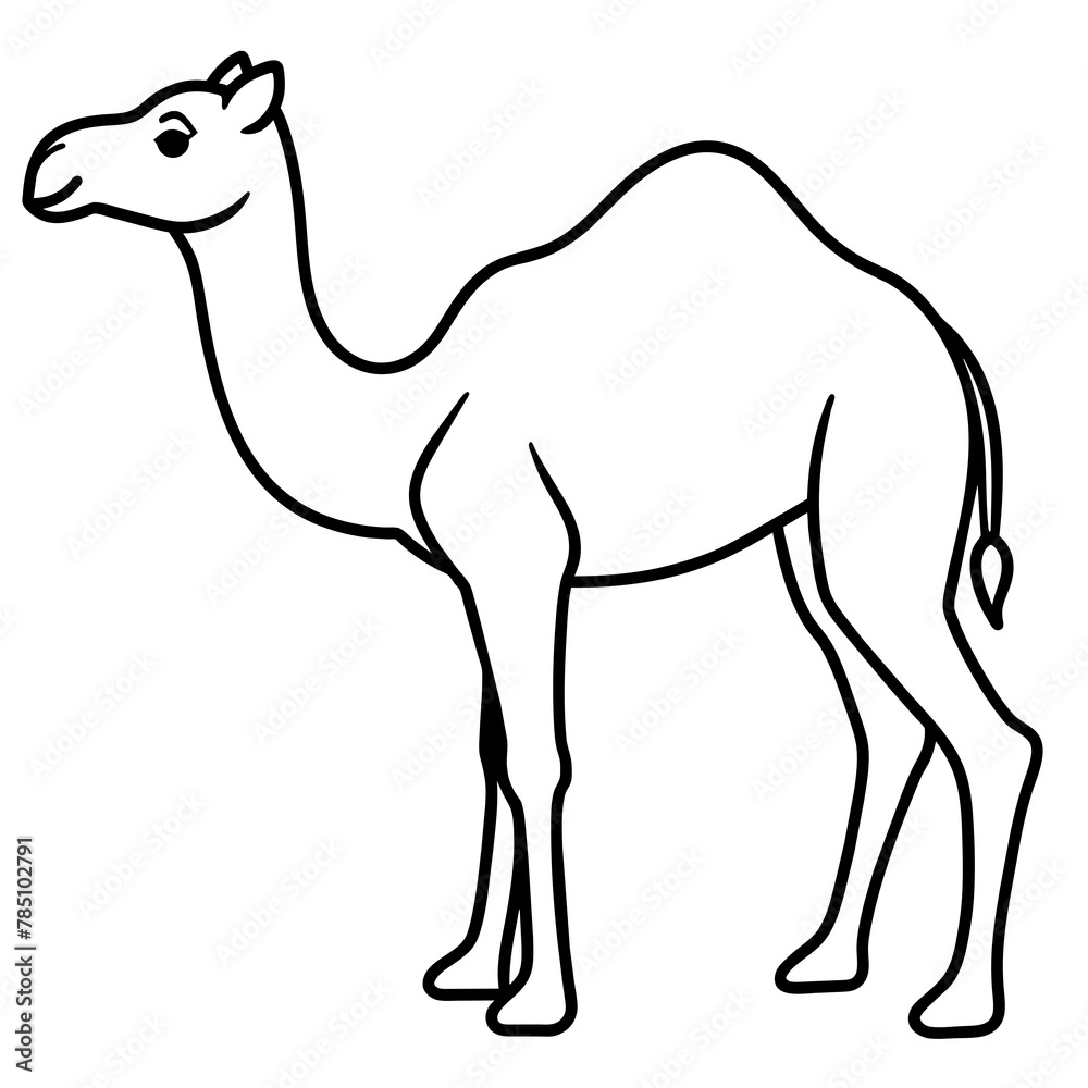 camel vector camel vector