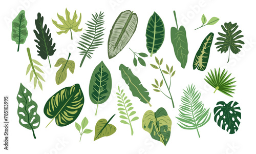 Vector flat cartoon illustration set of tropical leaves isolated on white background. Highly detailed colorful plant collection. Botanical elements for cosmetics, spa, beauty care products , fashion © irina