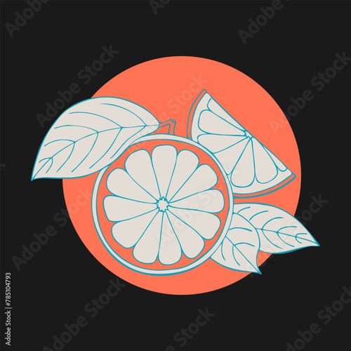 Grapefruit stilyzed hand drawing sketch on color circle, dark background. Label, emblem, logo, icon. photo