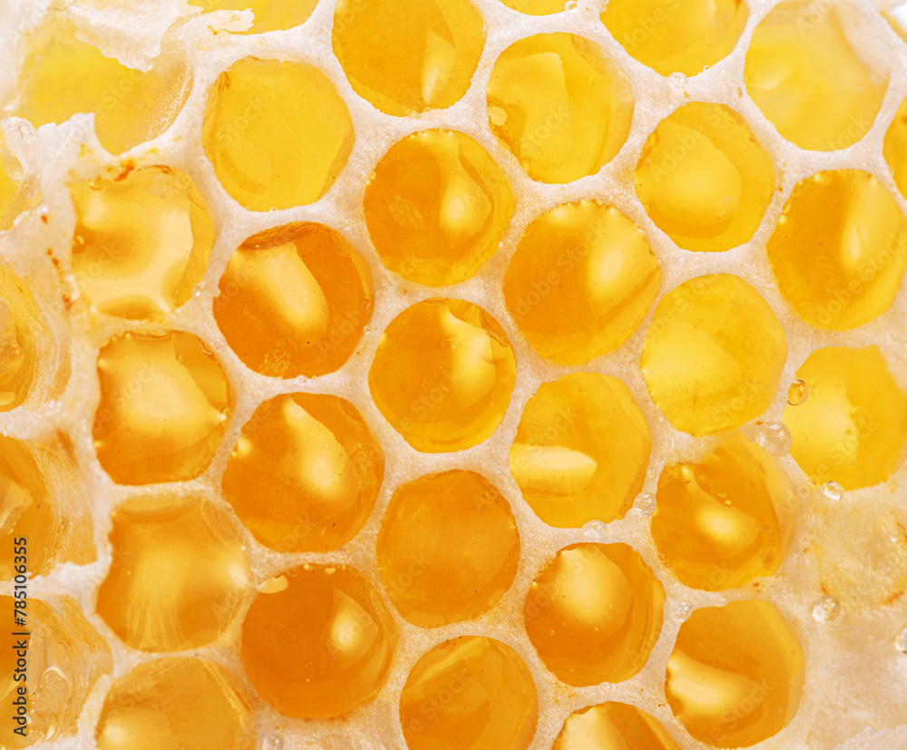 Raw honeycombs filled with fresh honey close up.