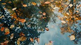 Pond with floating leaves, close-up, high-angle, forest reflections, peaceful autumn day 