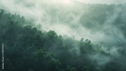 Fog rolling over hills, close-up, ground-level camera, forest awakening, serene breath © Thanthara