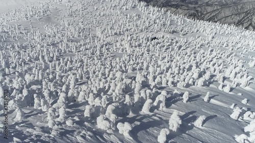 蔵王の樹氷原ドローン空撮