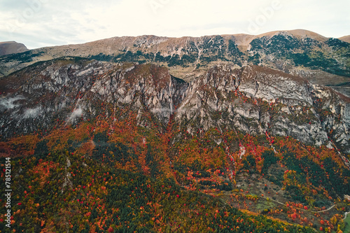 Autumn aerial view of treecovered mountain in natural landscape photo