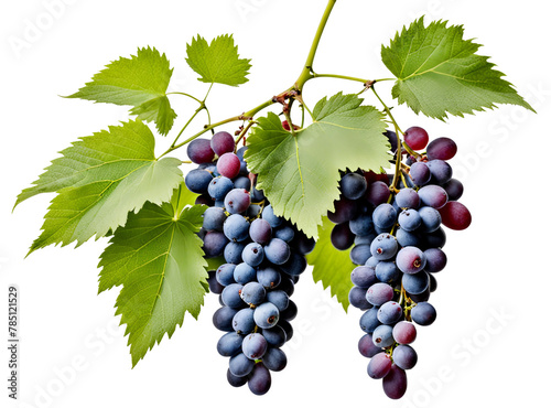 Transparent Background Grape Image