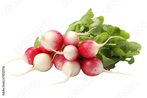 Towering Radish Pile: Fresh Harvest Display. On White or PNG Transparent Background.