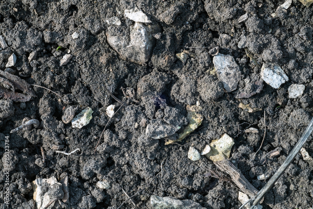 Obraz premium Soil texture with stones
