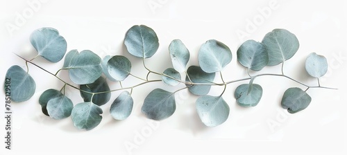 Eucalyptus leaves inspire natural material jewelry with electric blue accents banner white backgroun